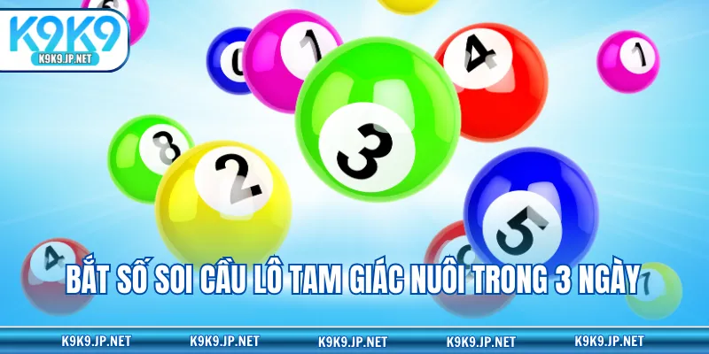 Bắt số soi cầu lô tam giác nuôi trong 3 ngày
