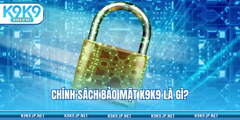 Chính sách bảo mật K9K9 là gì?