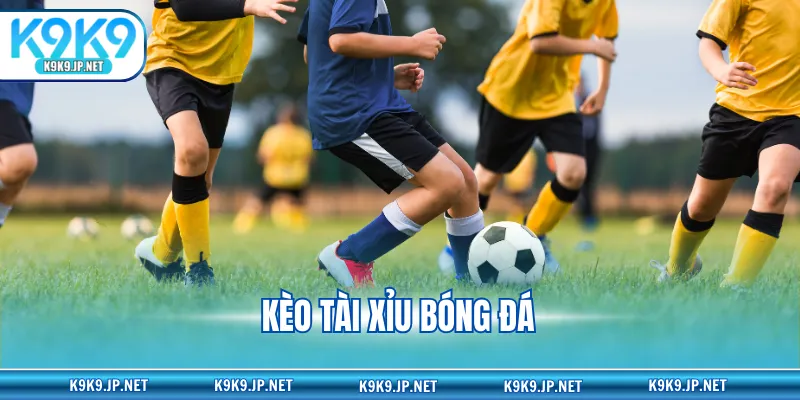 Kèo Tài Xỉu Bóng Đá