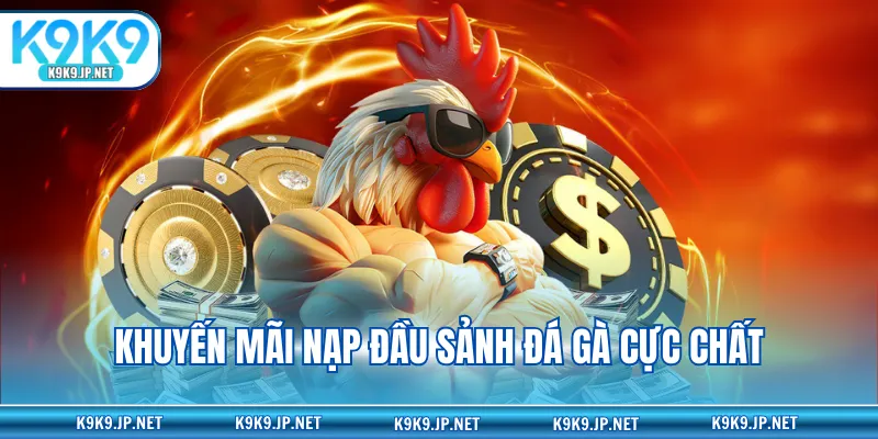 Khuyến mãi nạp đầu sảnh đá gà cực chất