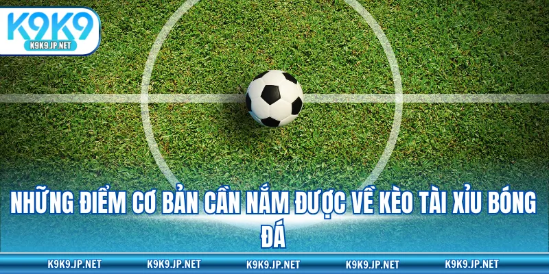 Những điểm cơ bản cần nắm được về kèo tài xỉu bóng đá