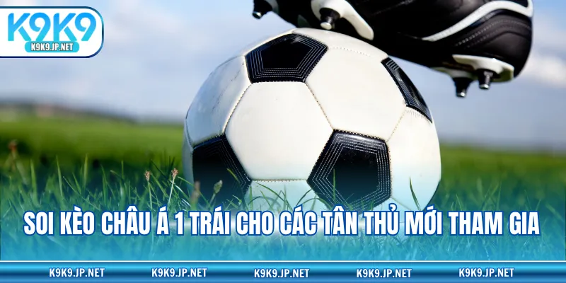 Soi kèo châu Á 1 trái cho các tân thủ mới tham gia