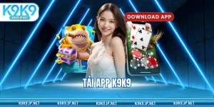 Tải app K9K9